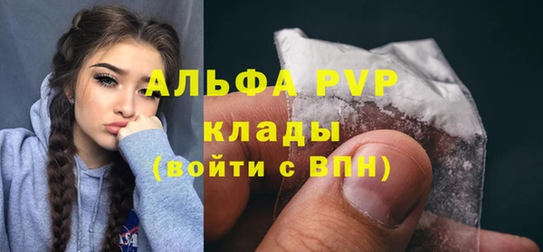 амф Богданович