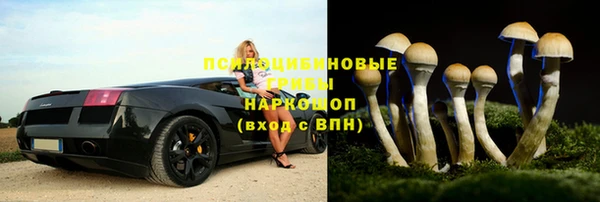 амф Богданович
