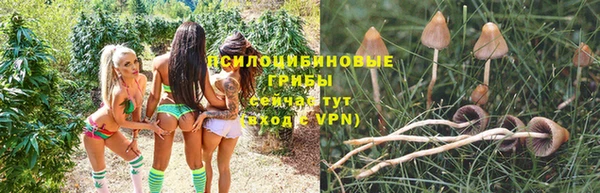 амф Богданович