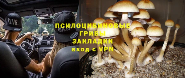 синтетический гашиш Богородицк