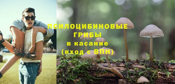 синтетический гашиш Богородицк